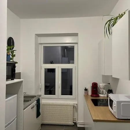 Cosy Rent-strasbourg Gare 1-wifi *