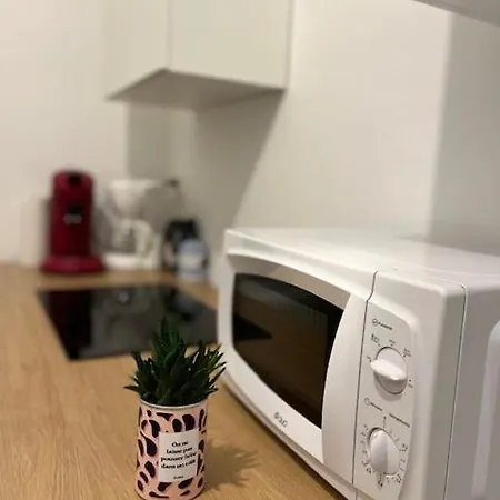 Cosy Rent-strasbourg Gare 1-wifi * Strasbourg